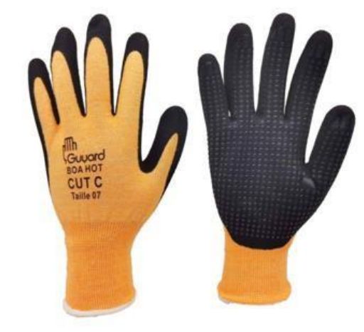 BOA HOT T9, GUYARD