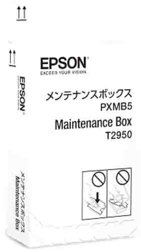 C13T295000, Epson