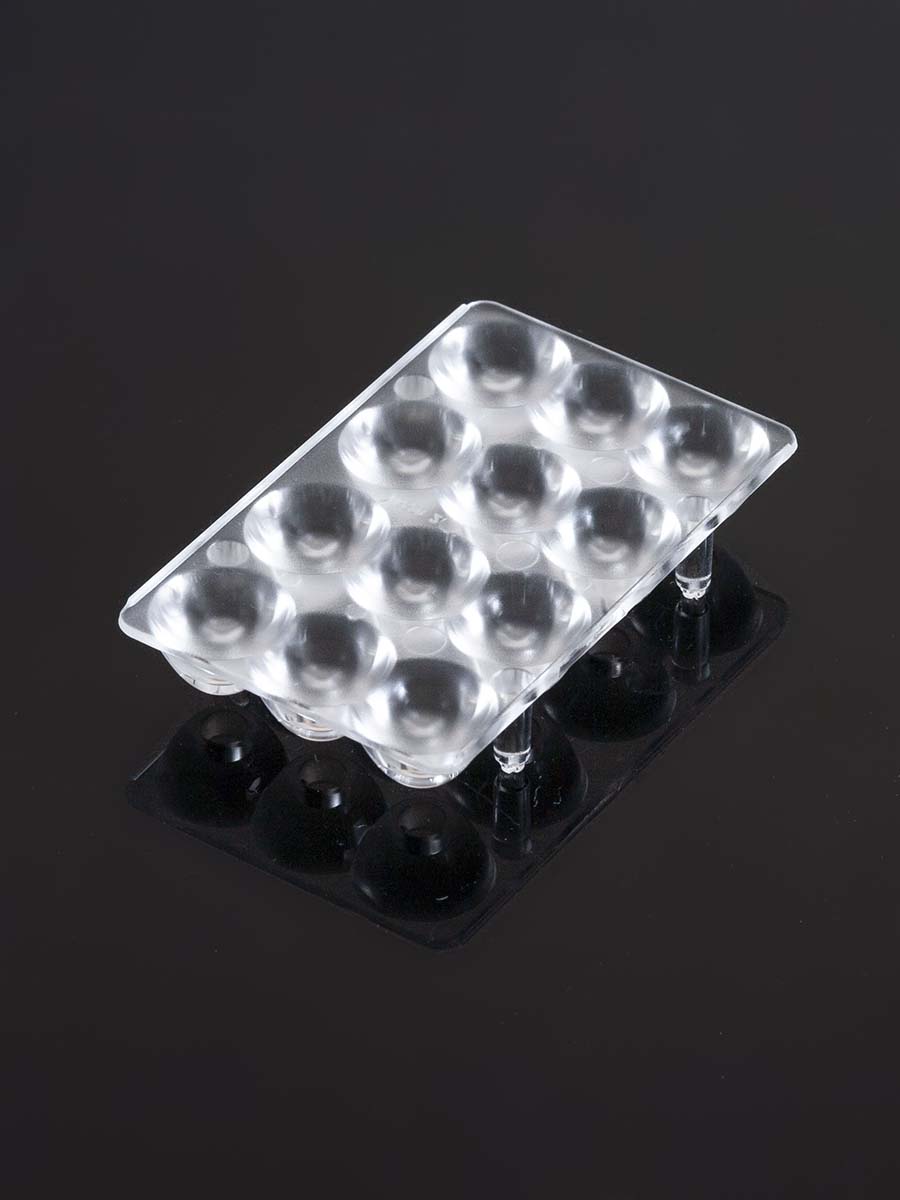 C16520_PETUNIA2, Ledil