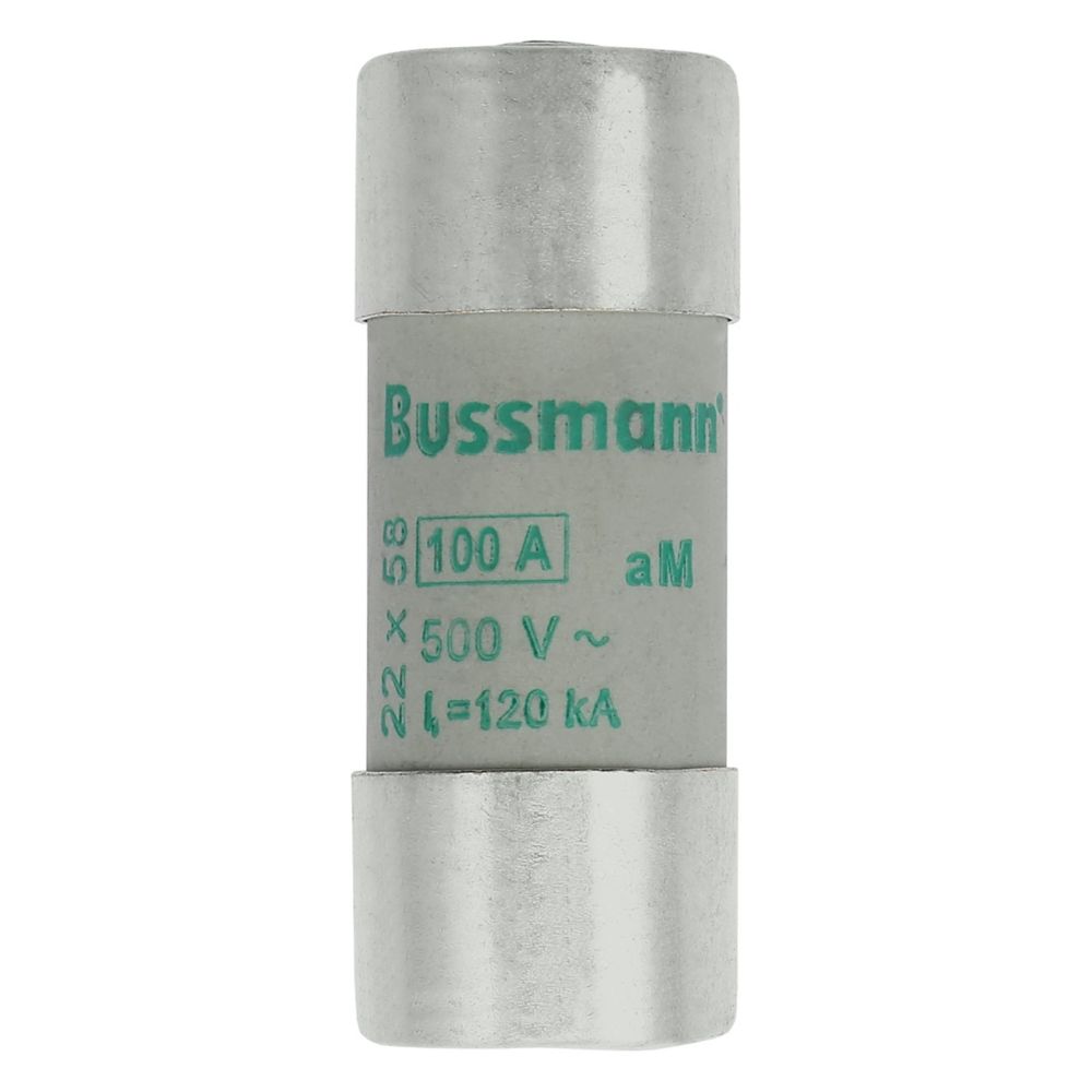 C22M100S CYL FUSE >STR >22 x 58 100A GG 500V AC, Eaton