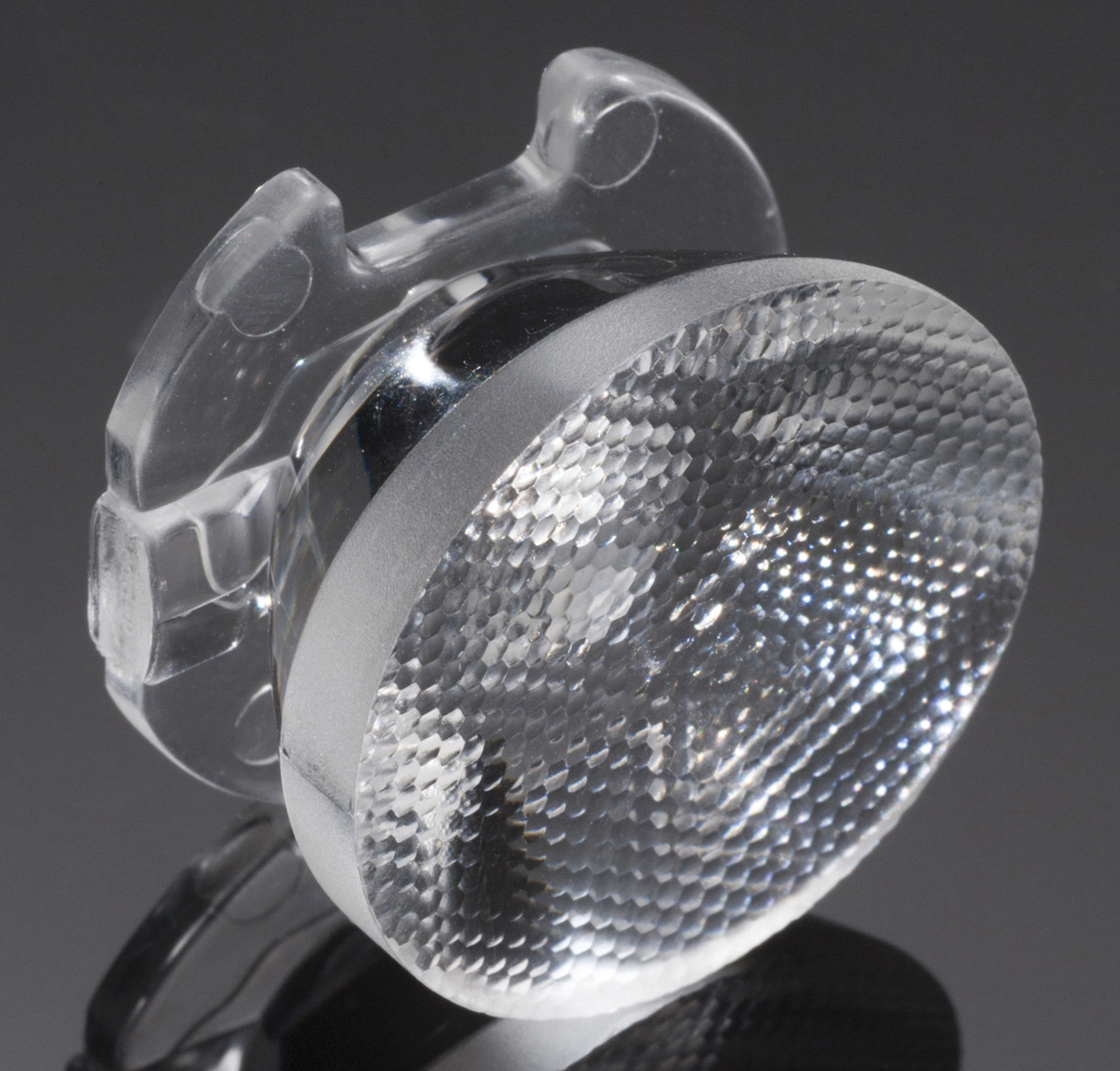 CA11998_EMILY-SS-WAS, Ledil