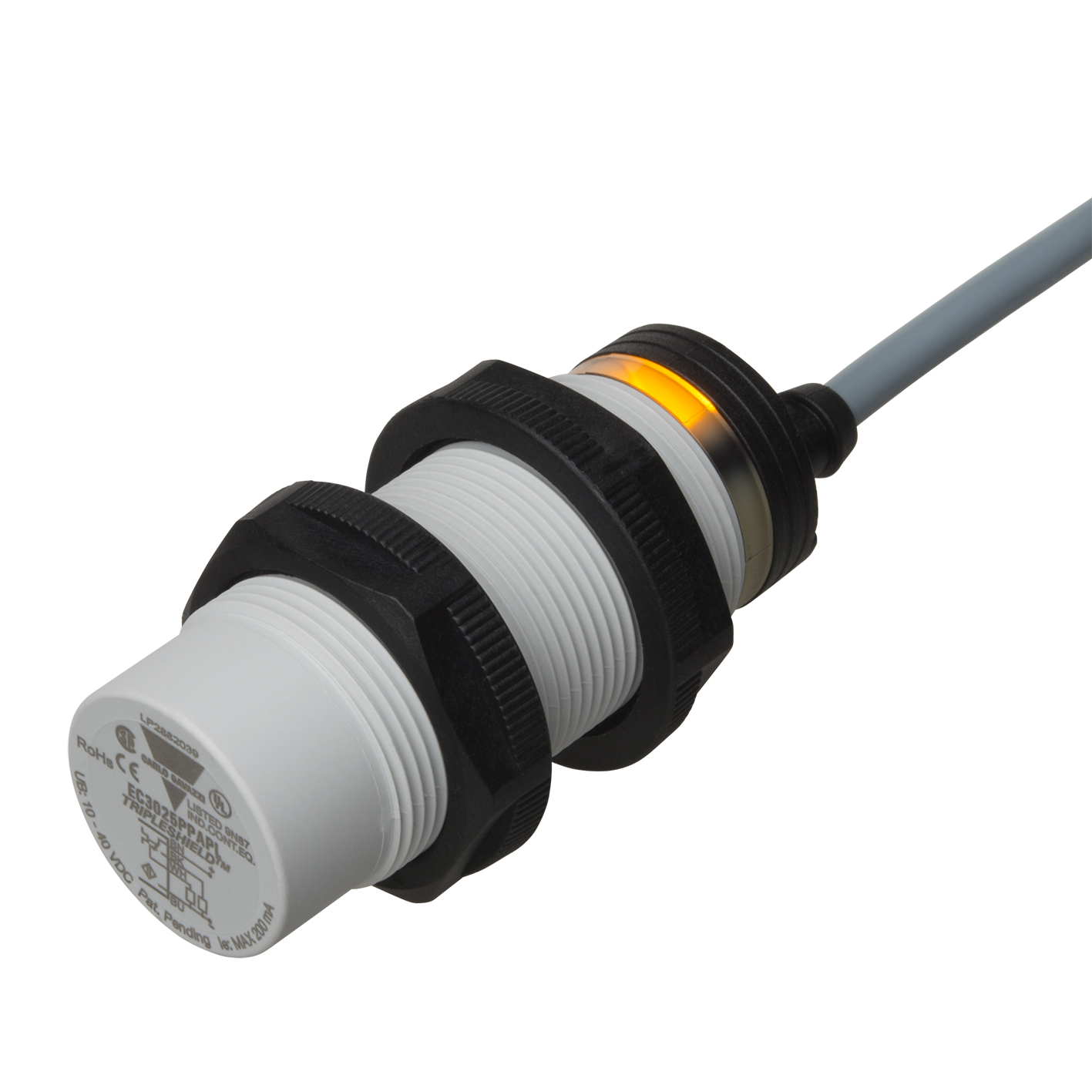 CA30CLN25BP, Carlo Gavazzi
