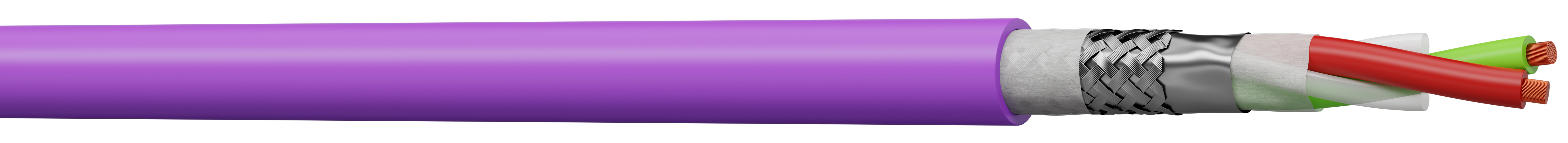 CBUSPS, CAE Multimedia Connect