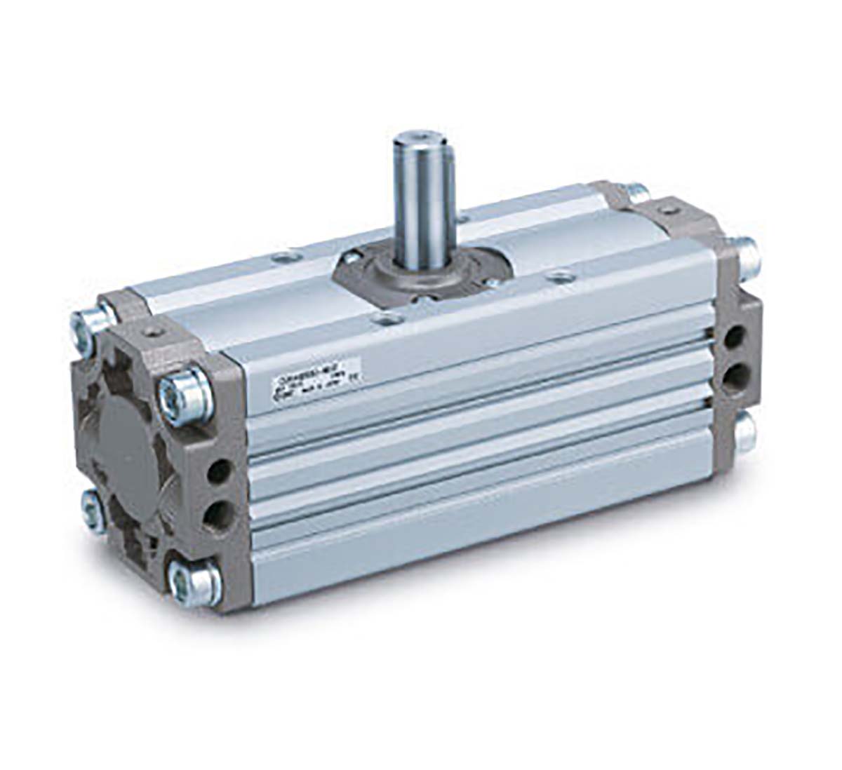 CDRA1BS100TF-180CZ, SMC