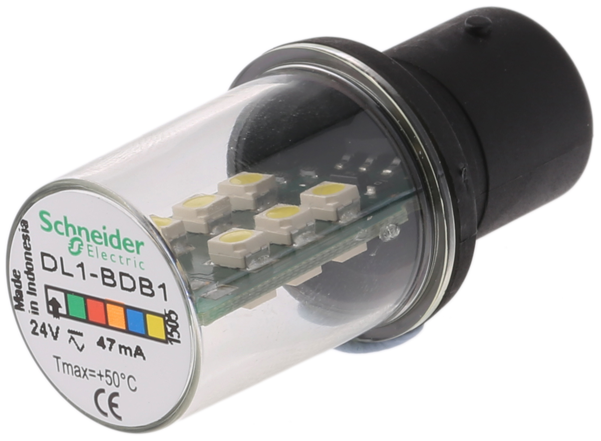 DL1BDB1, Schneider Electric