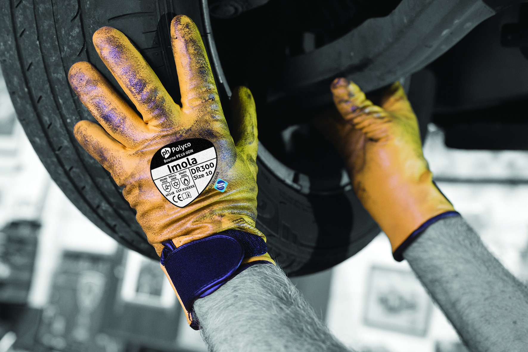 DR300-11, Polyco Healthline