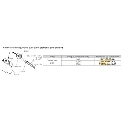 DXT170-80-4A-30, SMC