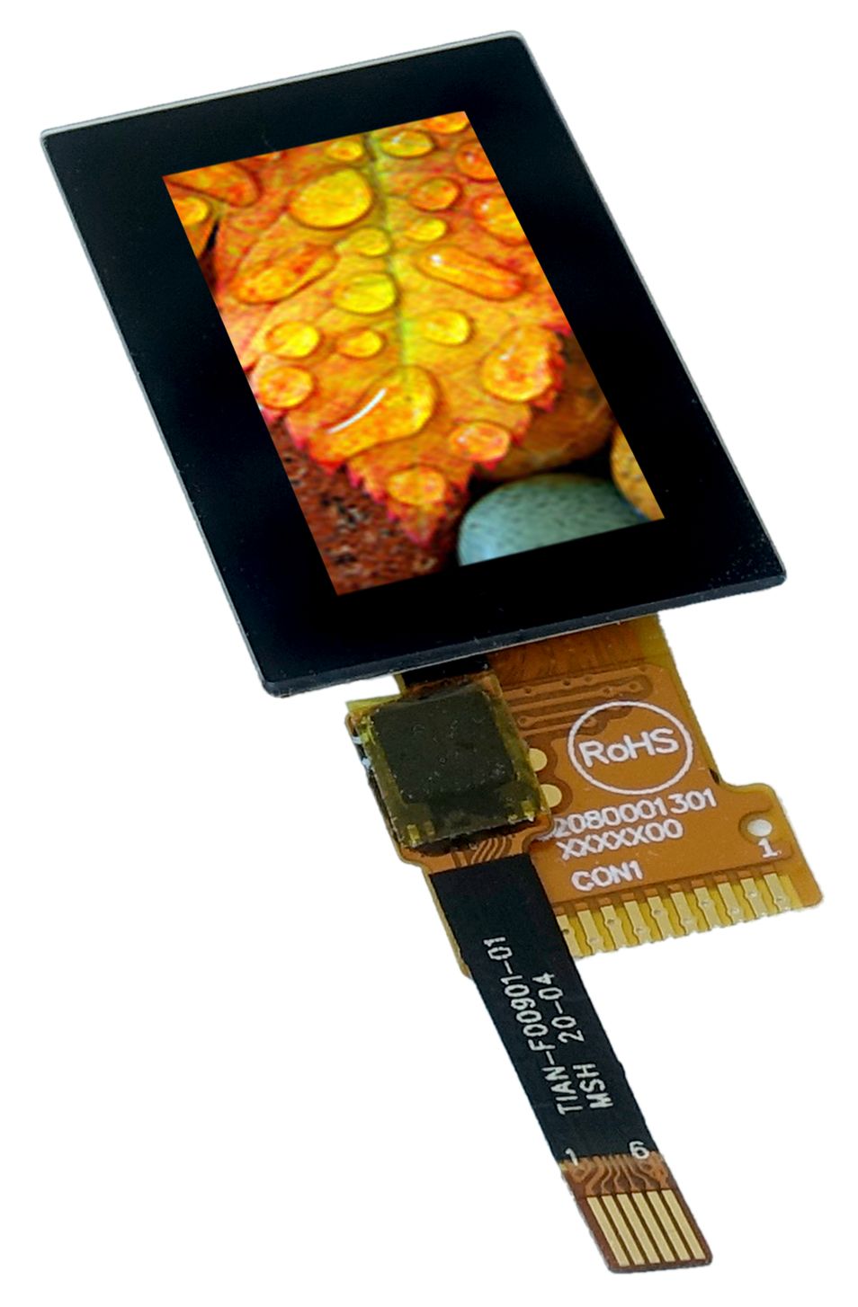 EA TFT009-81AITC, Display Visions