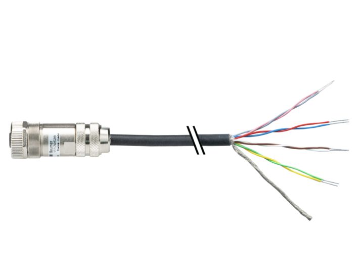 ESG 34FH2000GVS, Baumer