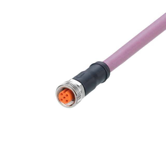EVC958, ifm electronic