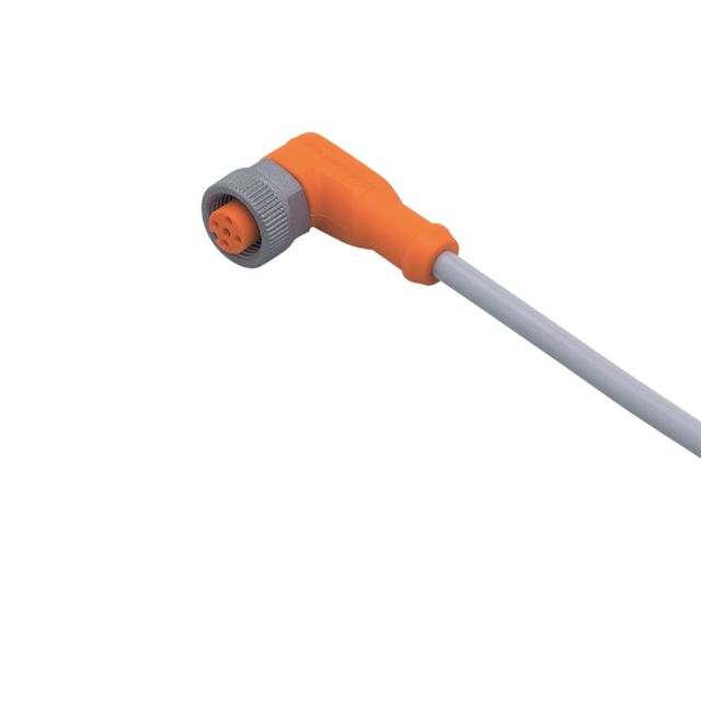 EVW166, ifm electronic