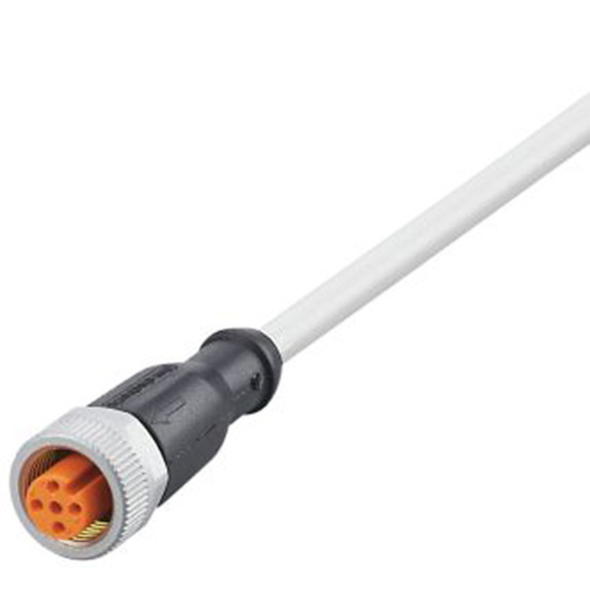 EVW168, ifm electronic