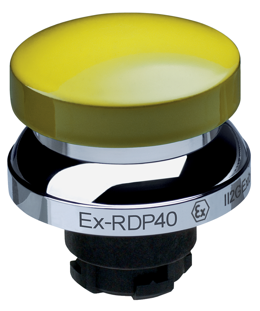 EX-RDP40GB, Schmersal