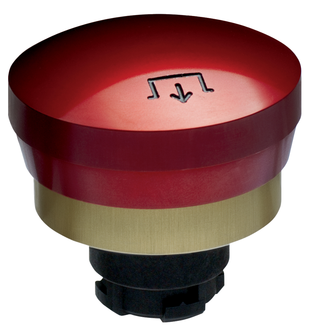 EX-RDRZ45RT, Schmersal