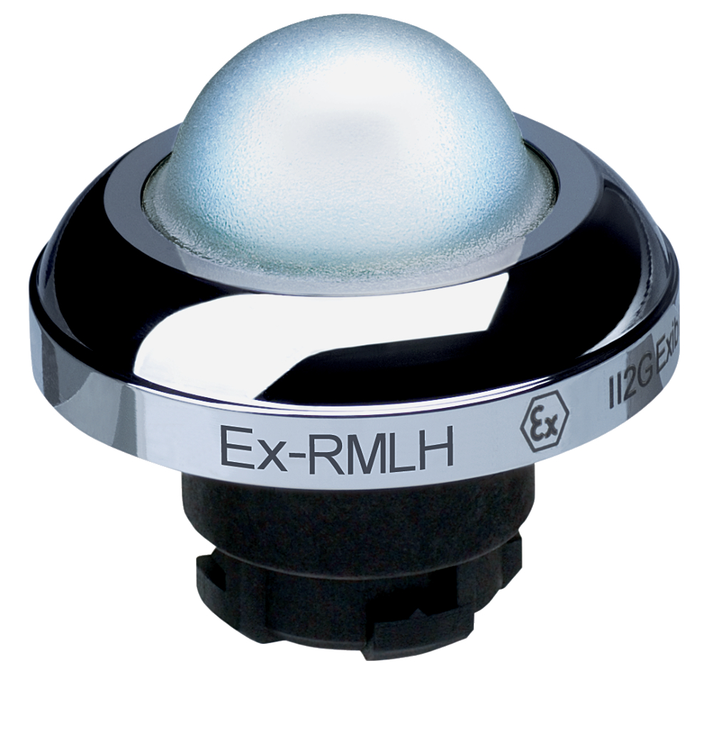 EX-RMLHWS, Schmersal