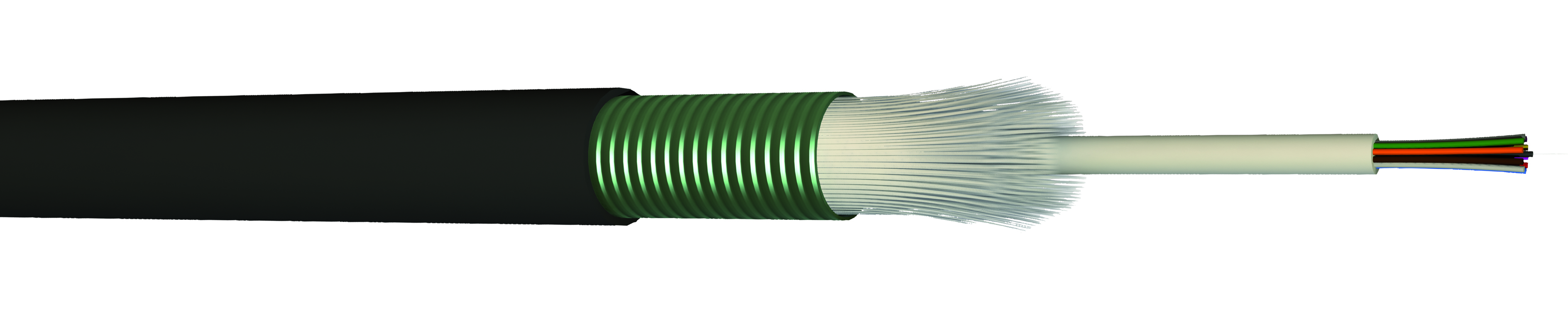 EXTALCT6OM3, CAE Multimedia Connect