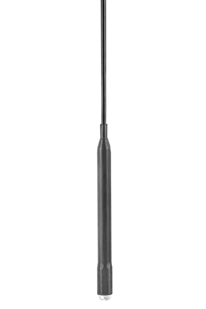 FMX21-AA111KGB31A, Endress+Hauser