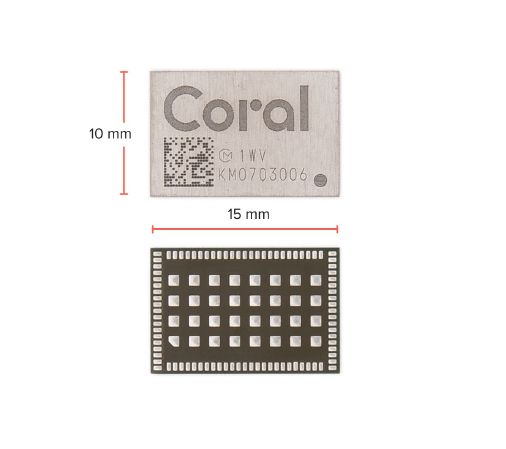 G313-06329-00, Coral