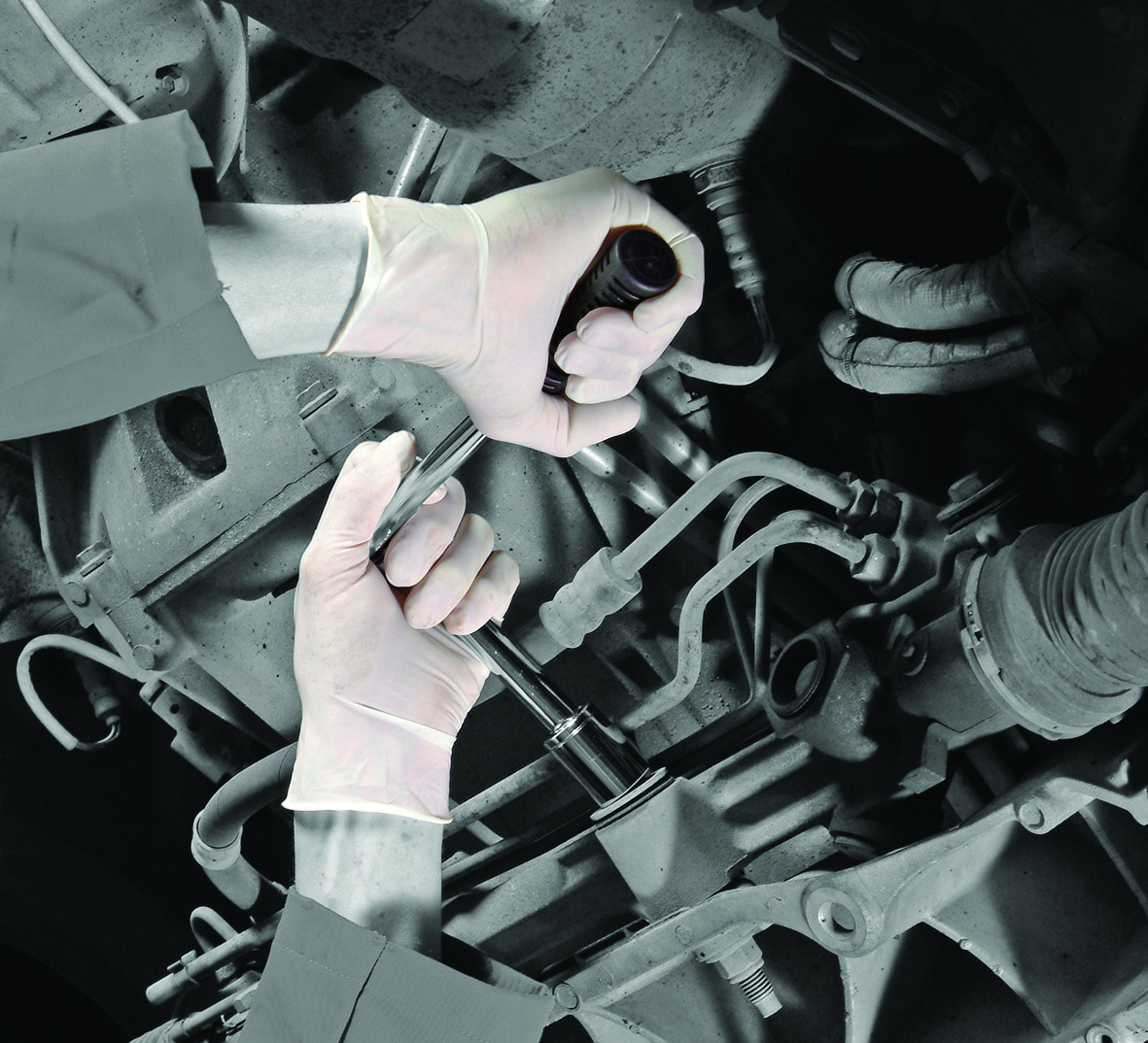 GD05 (extra large), Polyco Healthline