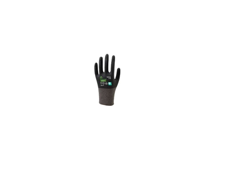 GREEN ULTRA LITE (SRL) T10, GUYARD