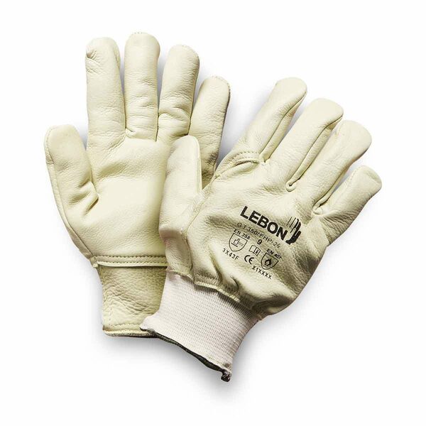 GT350/FHP/26-10, Lebon Protection