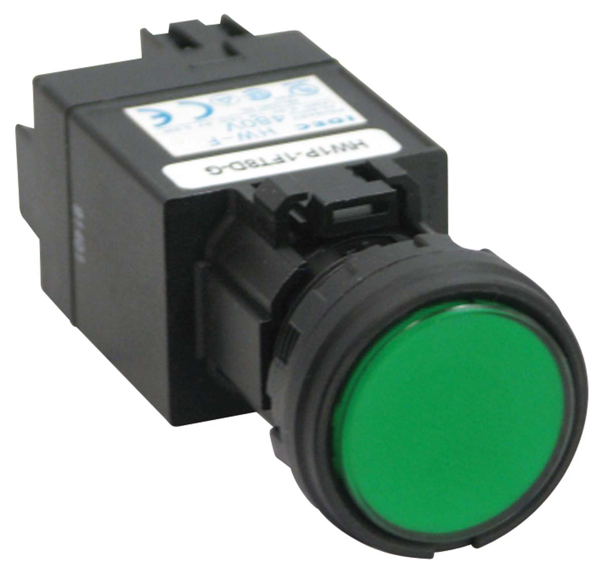 HW1P-1FT8D-G, Idec