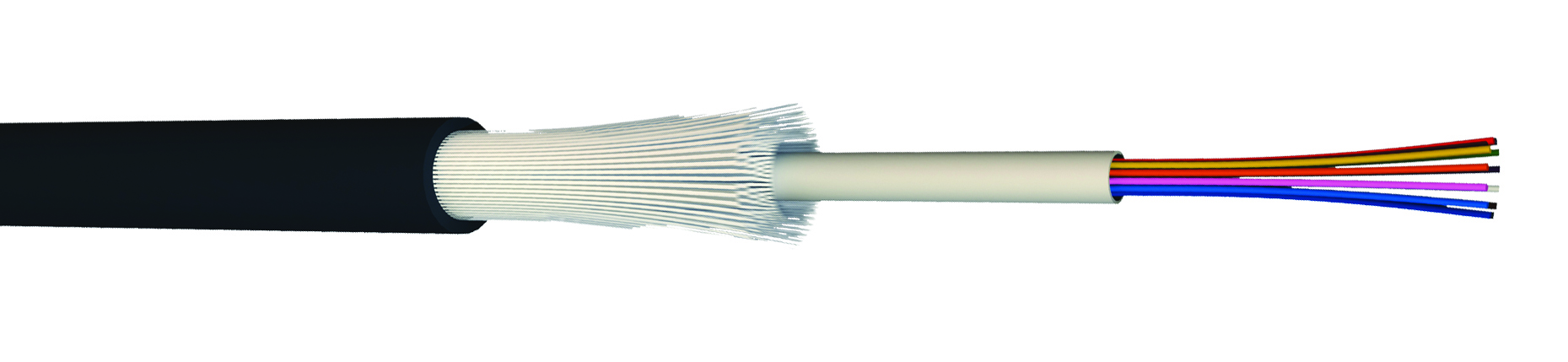 INTEX12OM3C, CAE Multimedia Connect