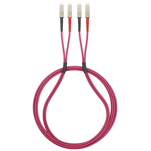 JSCSC2DOM4, CAE Multimedia Connect