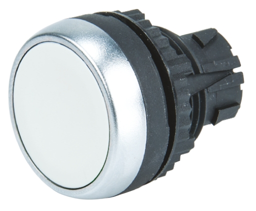 L21AA05, BACO