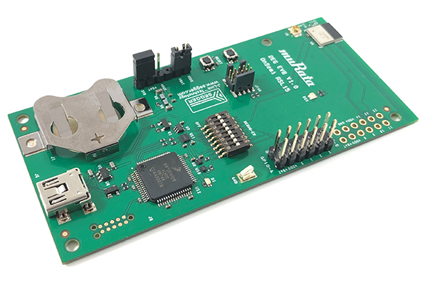 LBCA1HN2EG-917, Murata Power Solutions