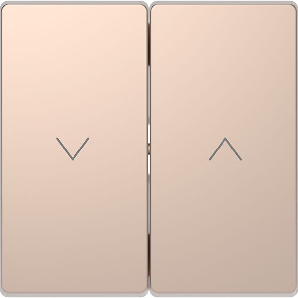 MTN3855-6051, Schneider Electric