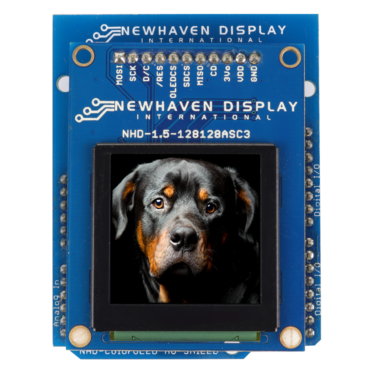 NHD-1.5-AU-SHIELD, NEWHAVEN DISPLAY INTERNATIONAL