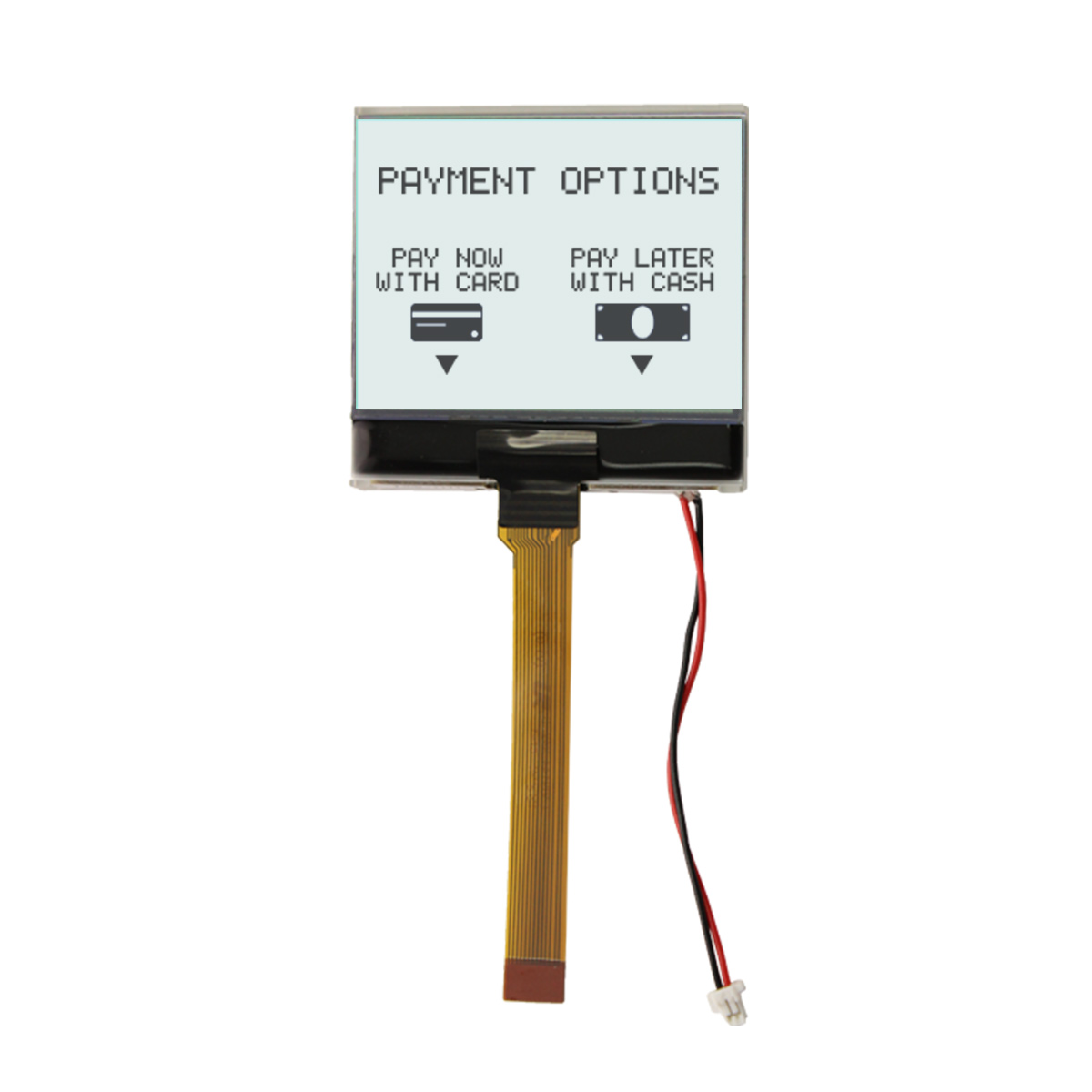 NHD-C160100DiZ-FSW-FBW, NEWHAVEN DISPLAY INTERNATIONAL