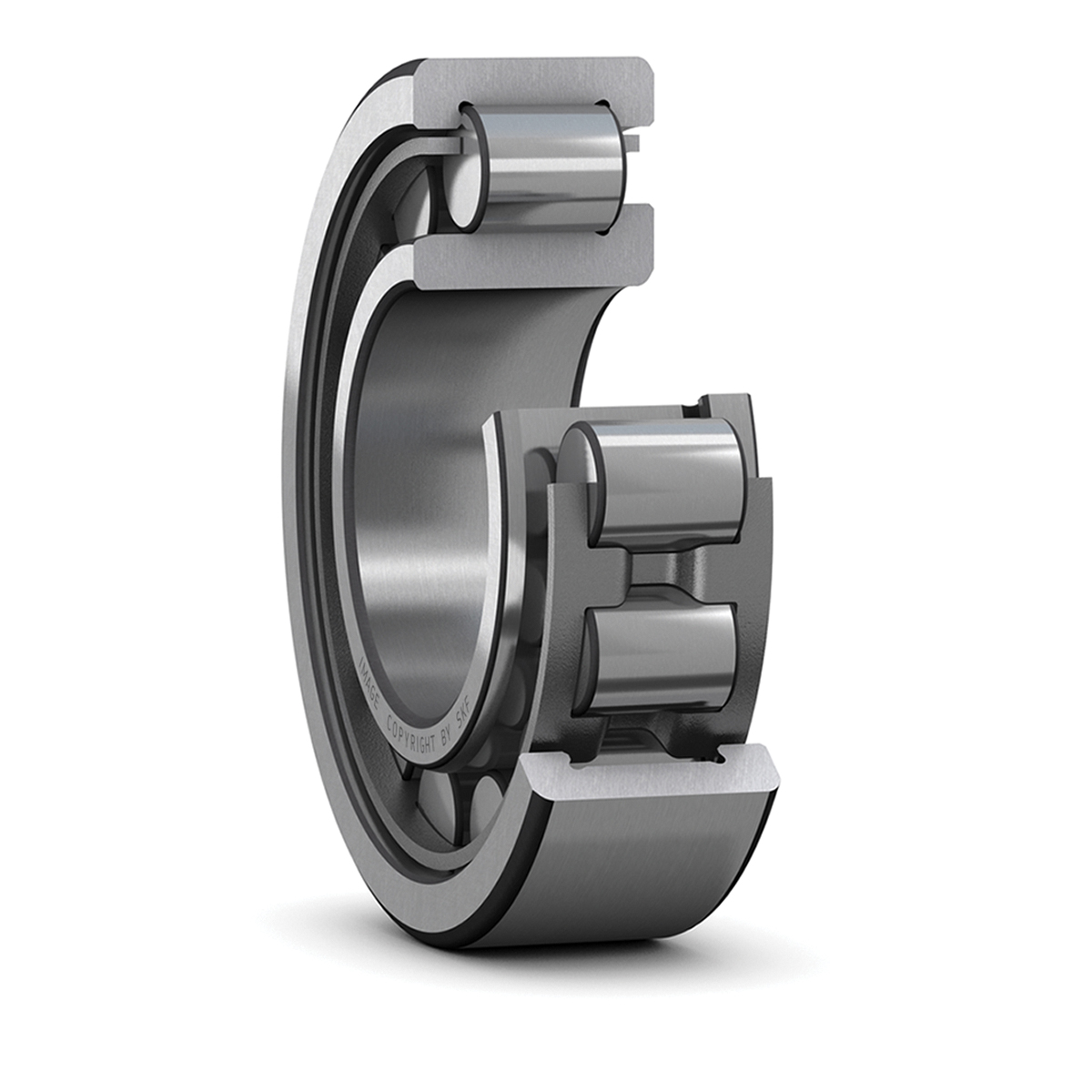 NJ 306 ECJ, SKF