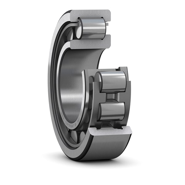 NJ 317 ECJ, SKF