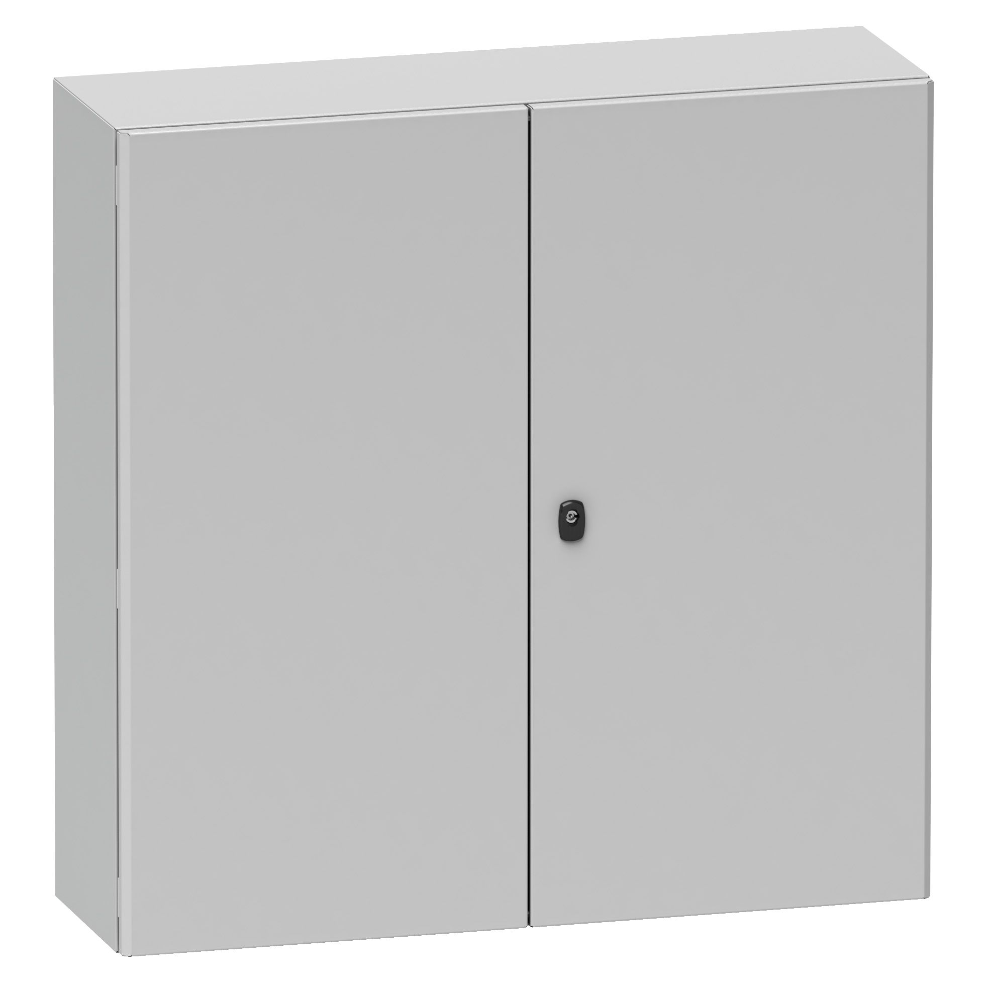 NSYS3D81230DP, Schneider Electric