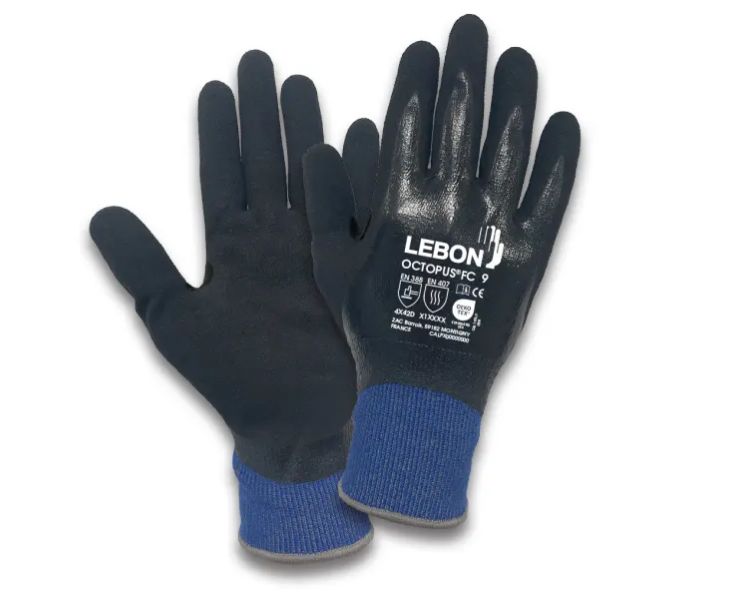 OCTOPUS/FC/10, Lebon Protection