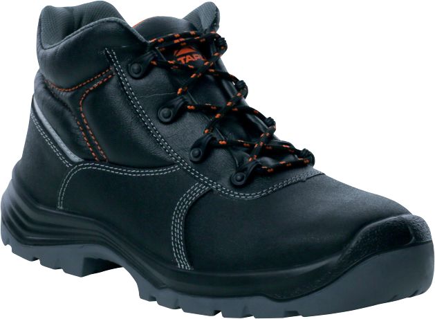 PHOE2S3SNO39, Delta Plus