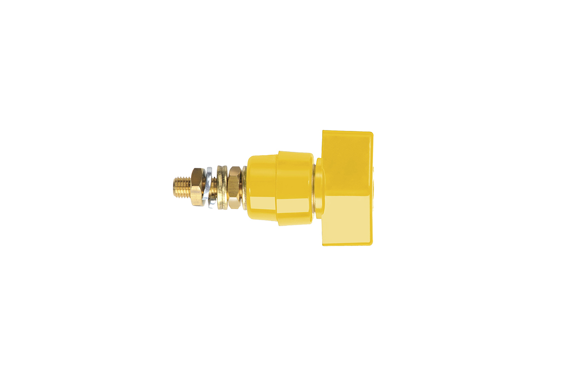 POL 631 L / GE, Schutzinger