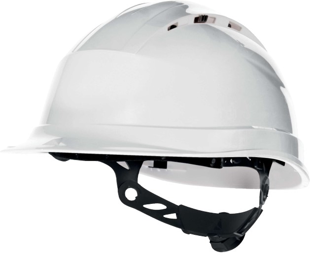 QUARUP4BC, Delta Plus