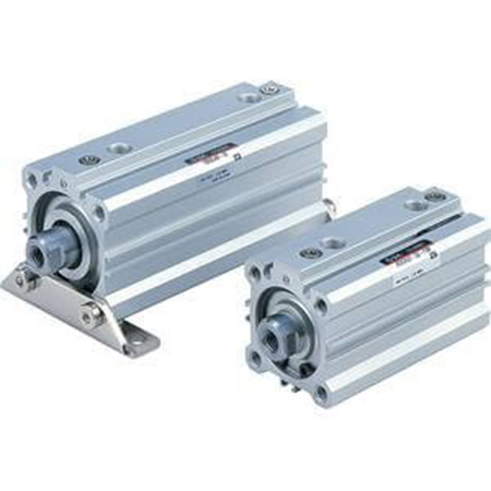 RDQB50TF-100, SMC