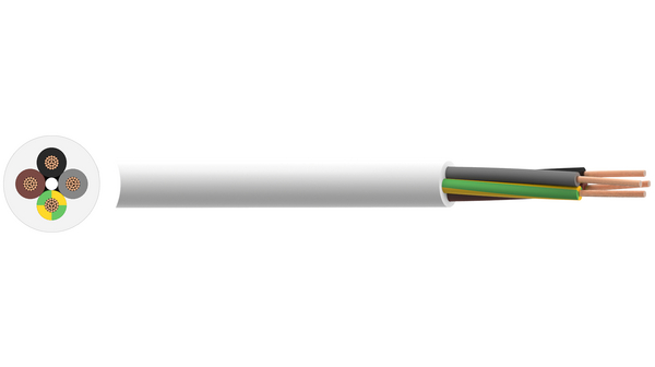 RND 475-00038, RND