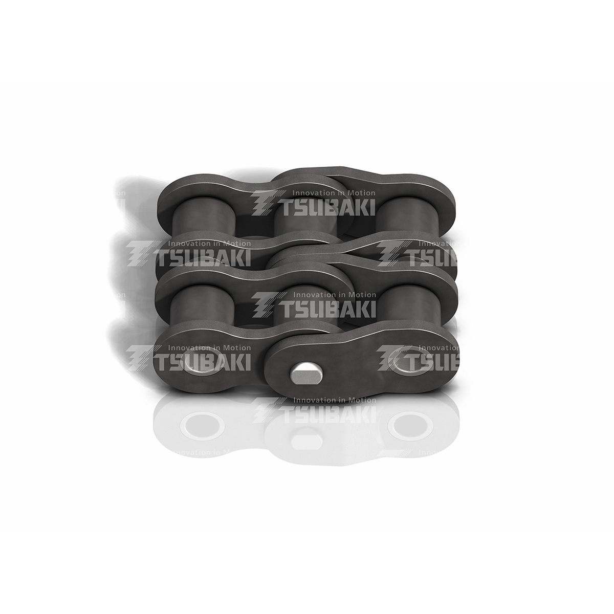 RS100-2 2POL, Tsubaki