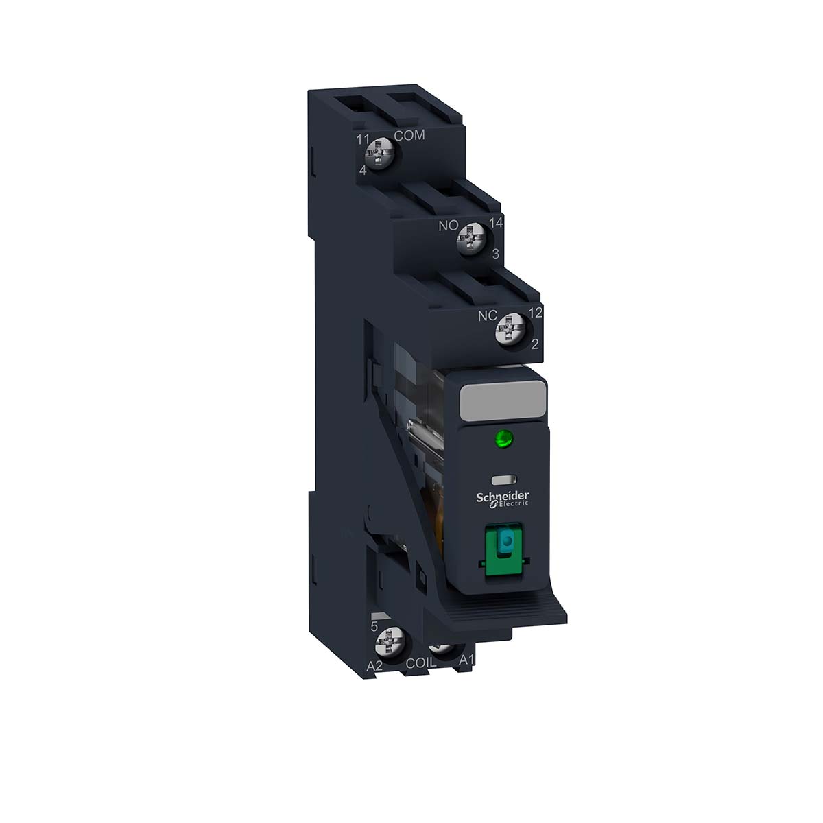 RXG12BDPV, Schneider Electric