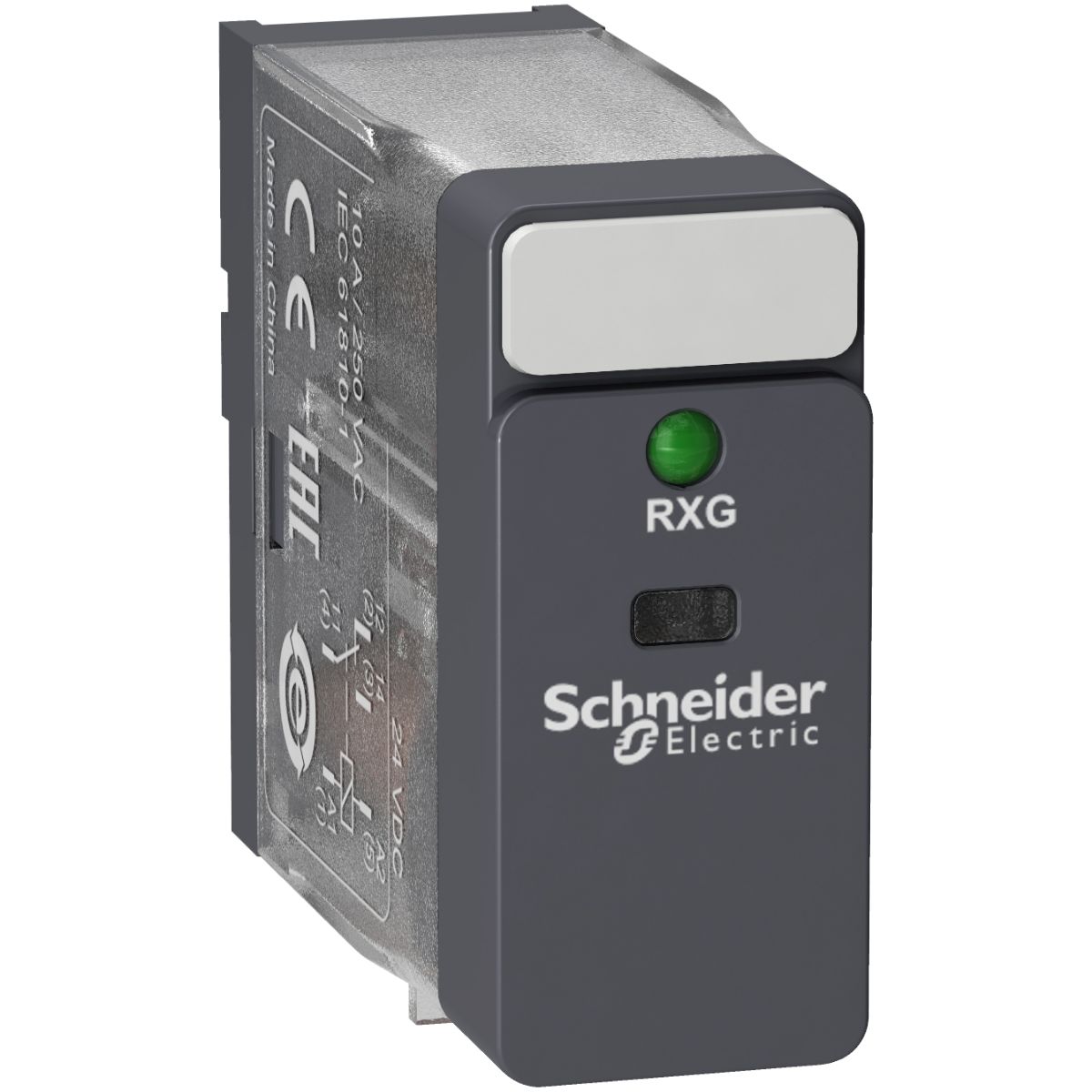 RXG13JD, Schneider Electric