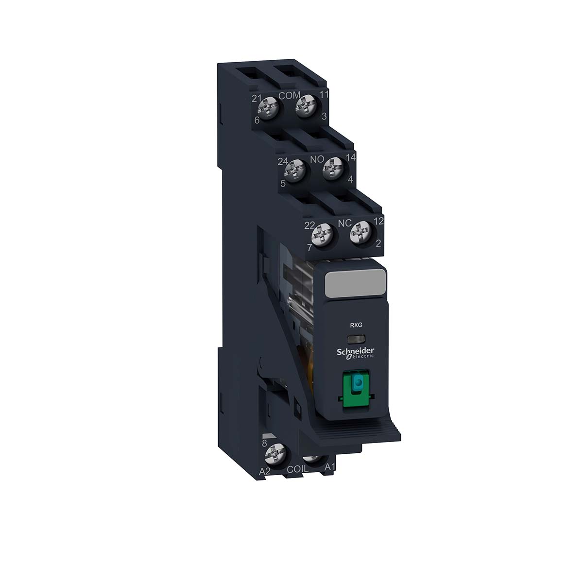 RXG21BDPV, Schneider Electric