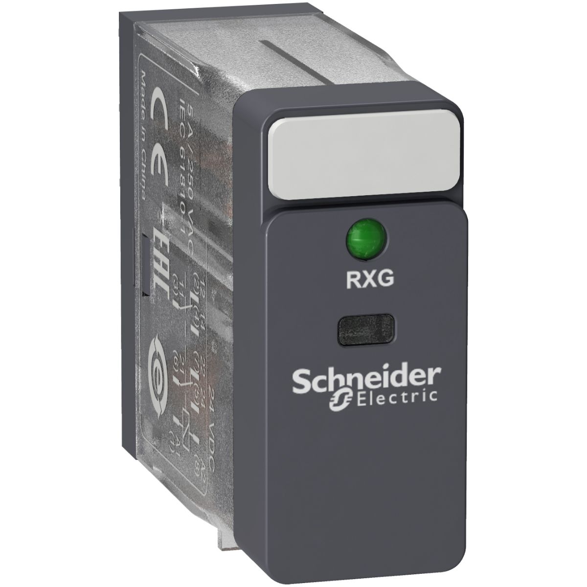 RXG23BD, Schneider Electric