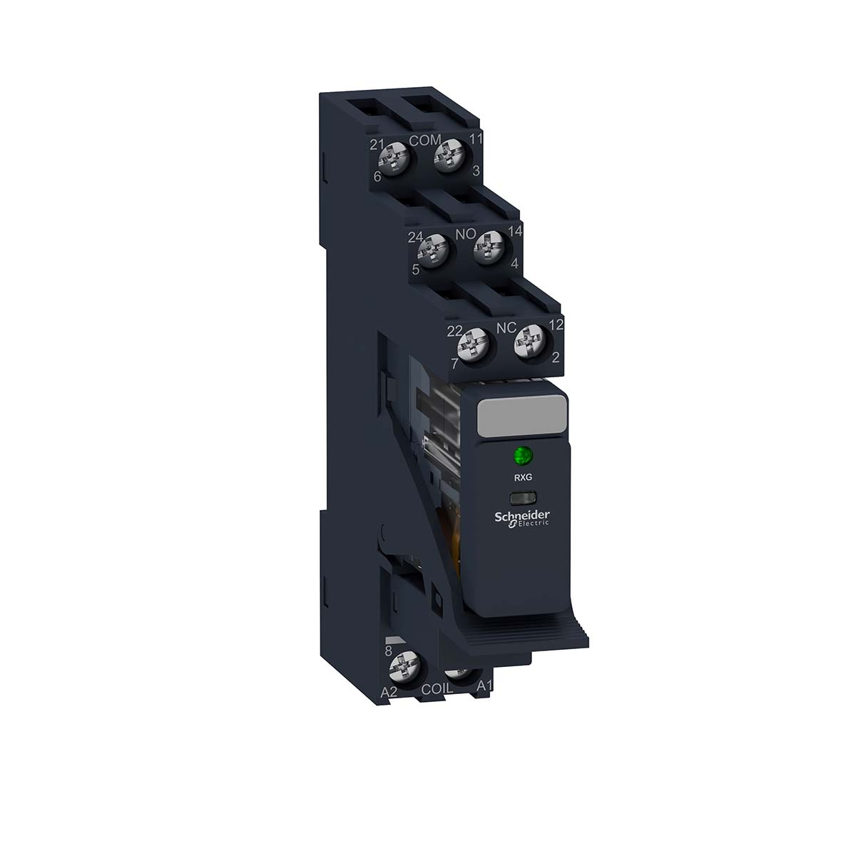 RXG23BDPV, Schneider Electric
