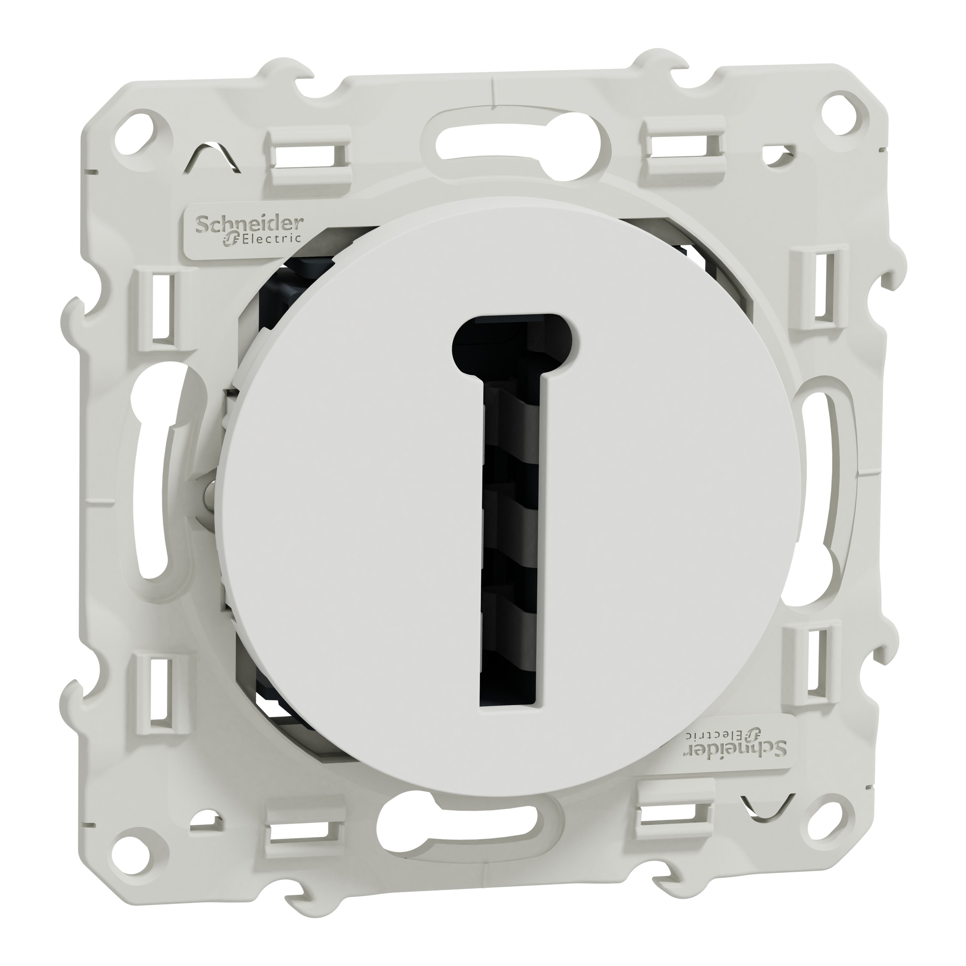 S520496, Schneider Electric