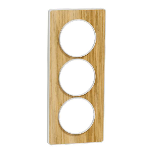 S520816N, Schneider Electric